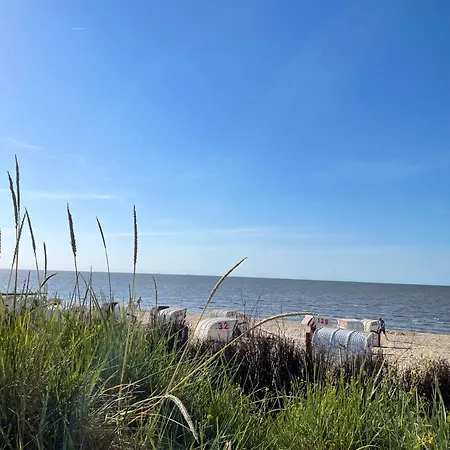 Muscheleck 2 Apartment